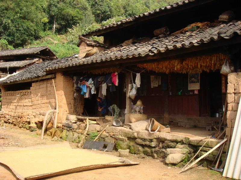 七里河村(云南省普洱宁洱哈尼族彝族自治县下辖村) 七里河村(云南省普洱宁洱哈尼族彝族自治县下辖村)