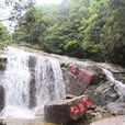 仙人洞风景区 仙人洞风景区