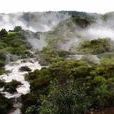 云雾山国家湿地公园 云雾山国家湿地公园