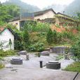 渱光村 渱光村