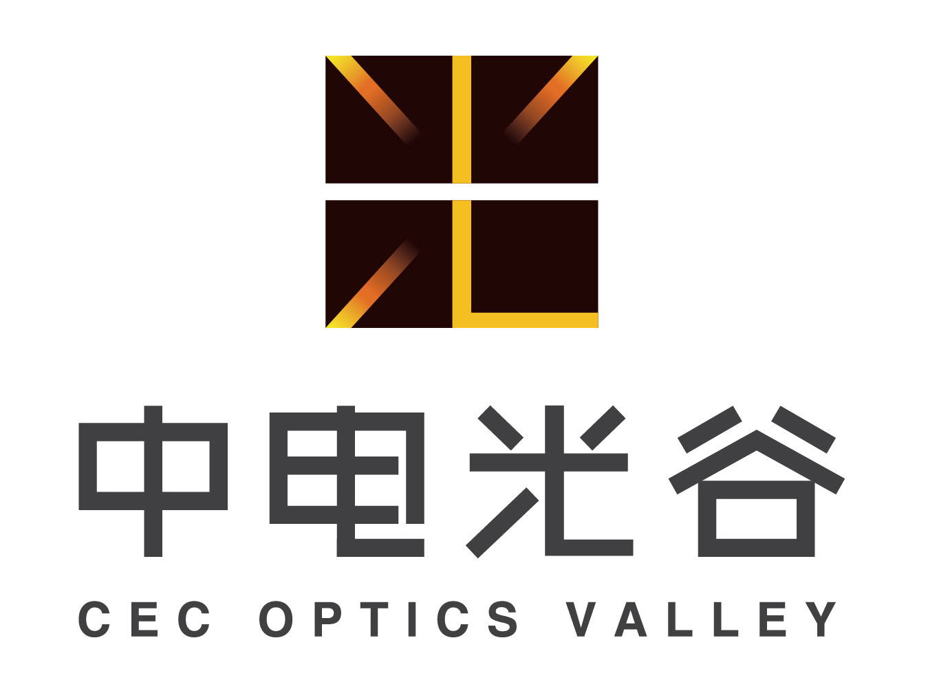中电光谷联合控股有限公司 中电光谷联合控股有限公司