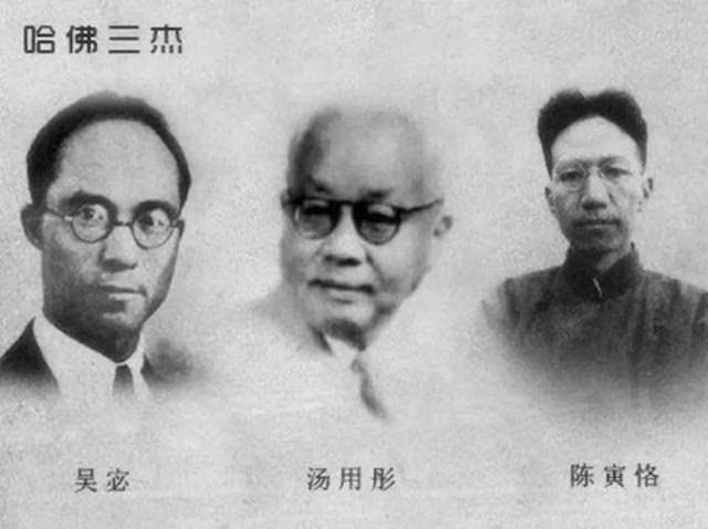 哈佛三杰 哈佛三杰