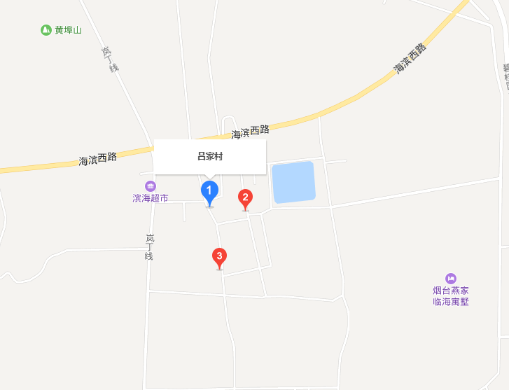 吕家村(山东省烟台市海阳辛安镇下辖村) 吕家村(山东省烟台市海阳辛安镇下辖村)