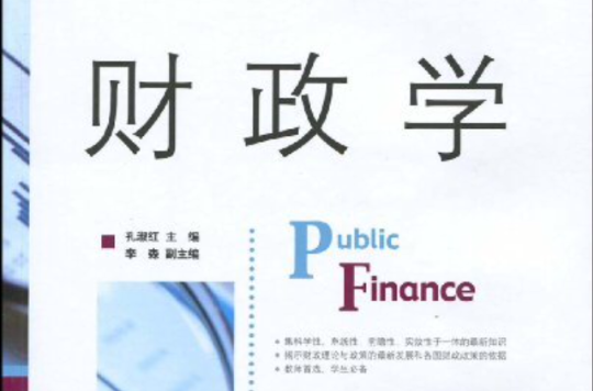 国际财政学 国际财政学