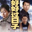 好好过日子(1997年国产电视剧) 好好过日子(1997年国产电视剧)