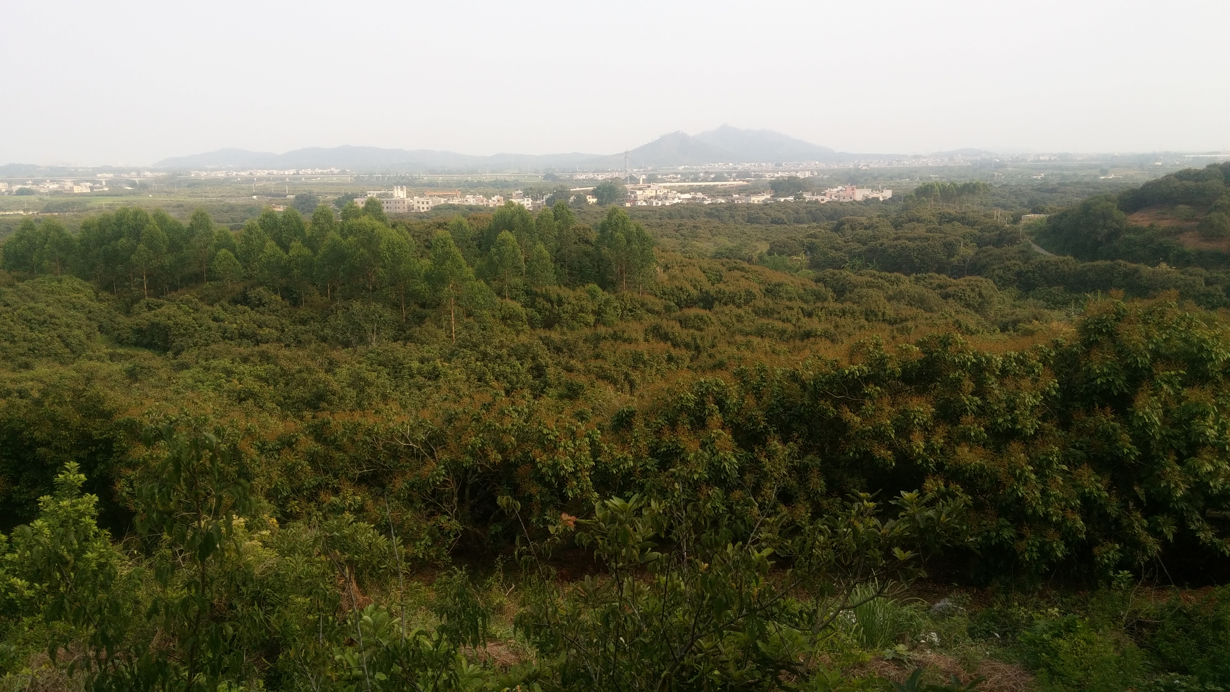 村远景 村远景