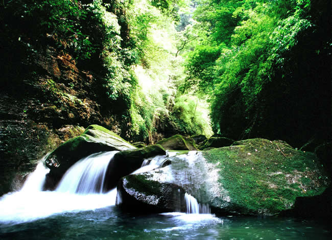 冷水河森林公园