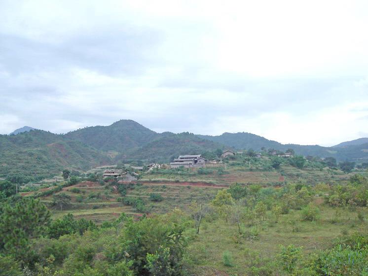村全貌 村全貌