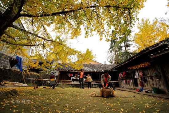 江东村(浙江杭州市萧山区河庄镇江东村) 江东村(浙江杭州市萧山区河庄镇江东村)