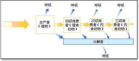 能量传递 能量传递