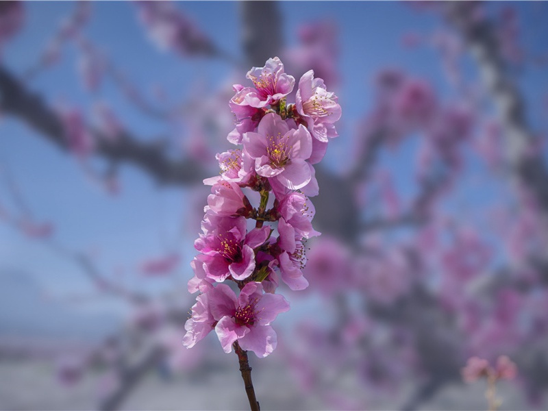 儿子生日妈妈感悟心语朋友圈,祝儿子生日快乐的短句(30句)
