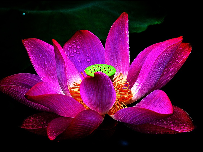 正能量短句适合周六发朋友圈(20句)