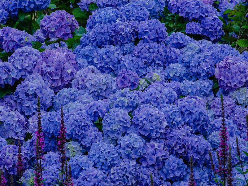 宝宝第个一生日感言煽情朋友圈写什么,抖音最火宝宝周岁祝福语(18句)