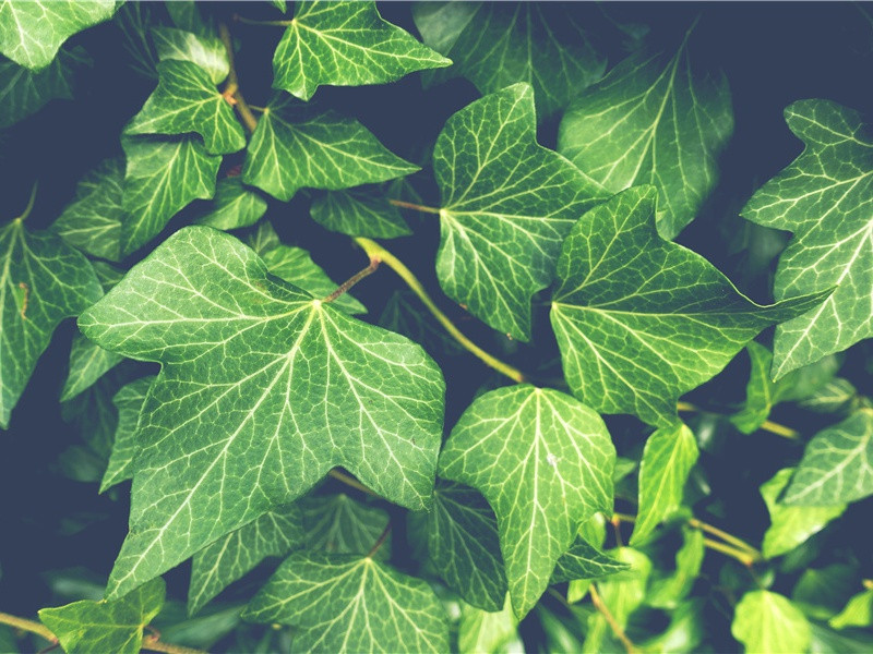 六一儿童节心情说说句子(27句)