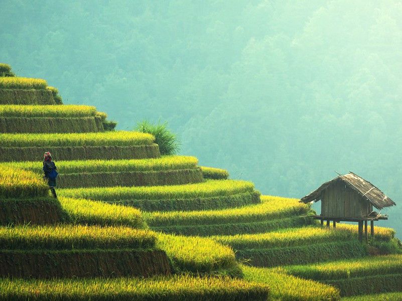 一句话精辟地形容自己,一句话让人瞬间记住你(24句)