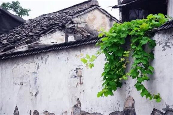关于容貌的诗句(52句)