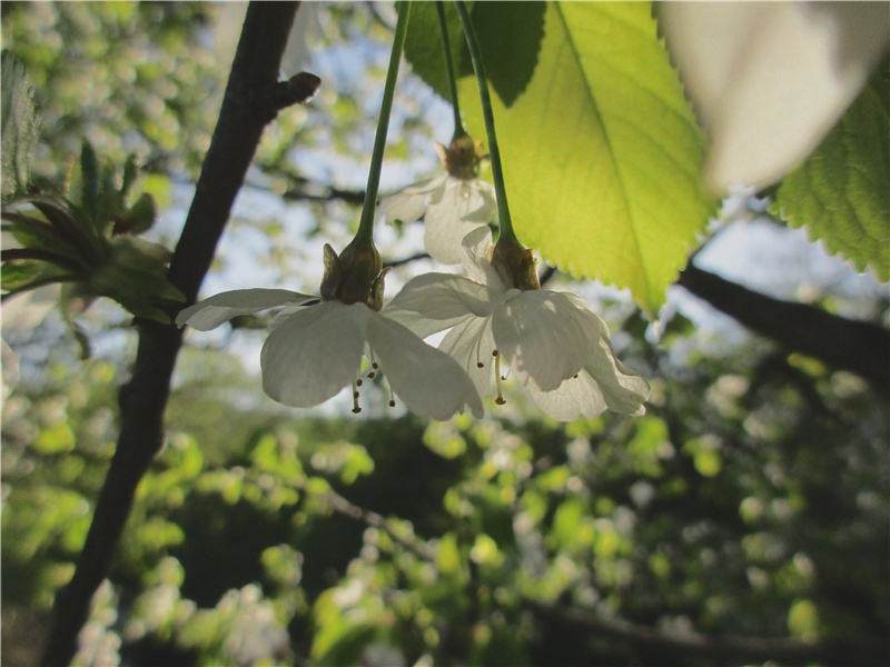 迎接五一劳动节的句子,假期发朋友圈的说说(30句)