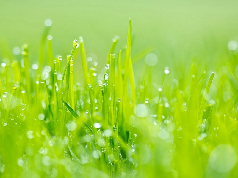 朋友圈下雨后彩虹说说(44句)