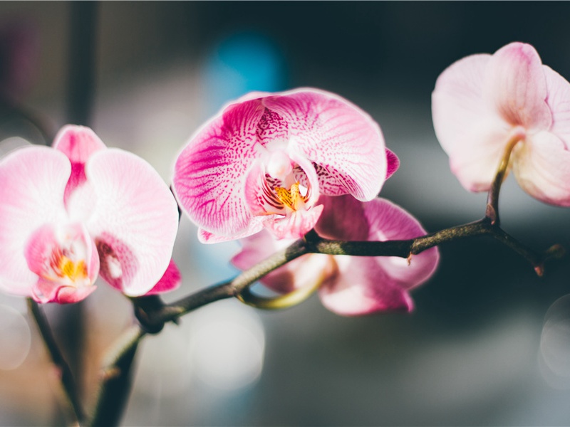 鼓励人的句子,鼓励人积极向上的句子(100句)