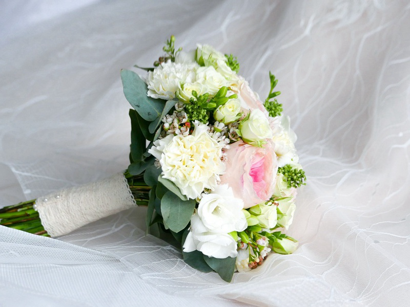 塑料姐妹花经典语句朋友圈文案,讽刺塑料友情的句子(13句)