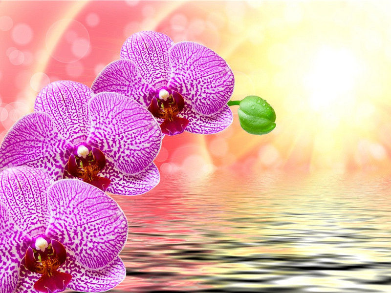 谷雨节气说说(21句)