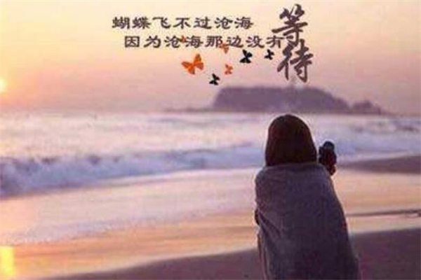 三毛人生感悟的句子(100句)