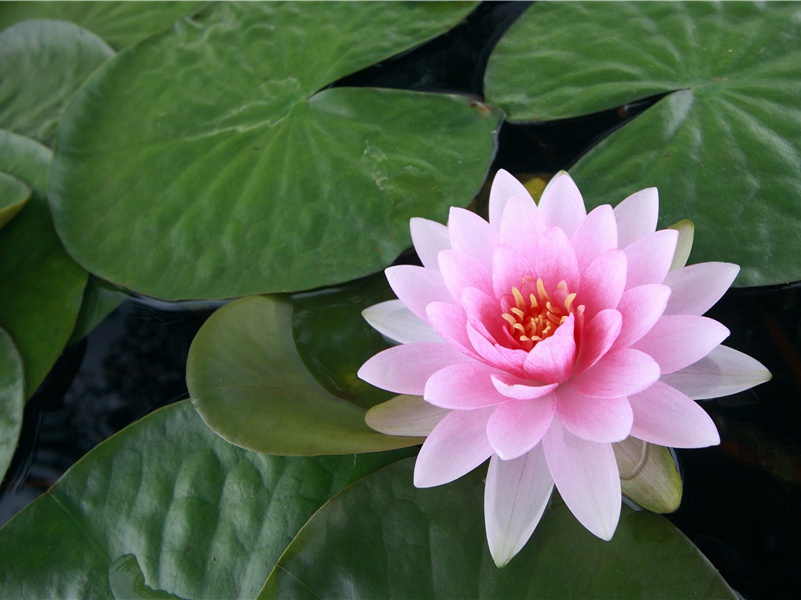 幽默句子形容自己老了,自己变老了的搞笑句子(19句)