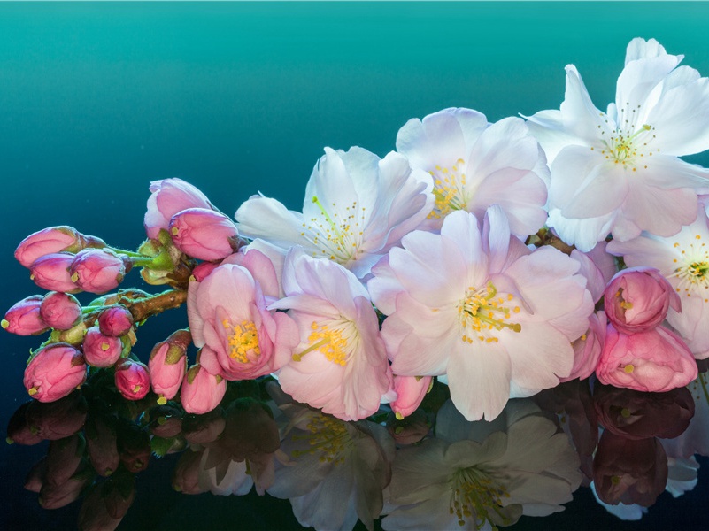 教师节文案标题(35句)