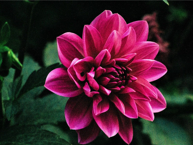 早安的朋友圈文案,早安暖心话说说朋友圈(40句)
