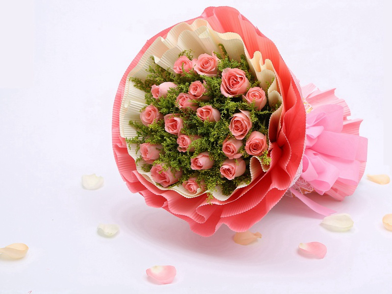 塑料姐妹花经典语句朋友圈文案,讽刺塑料友情的句子(13句)