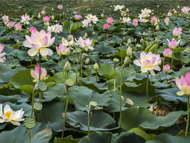 周末出去玩发朋友圈的文案,旅行的句子简短唯美(40句)