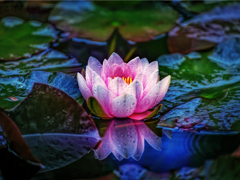 适合雨天发朋友圈的唯美句子,下雨天的心情说说唯美句子(54句)