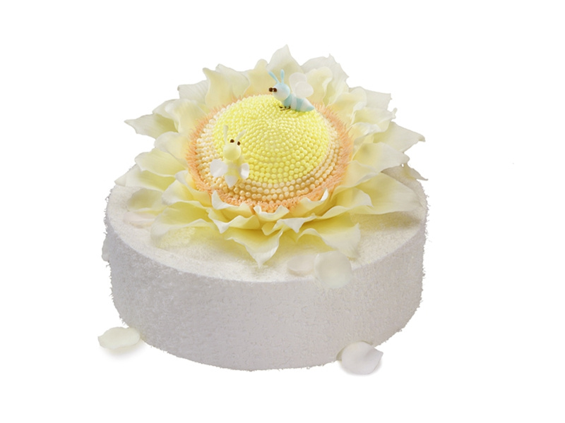 祝福婆婆的生日祝福语,送给婆婆的生日祝福语(99句)
