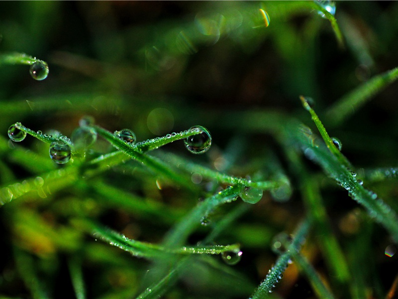 适合下雨发的朋友圈文案,下雨的说说发朋友圈伤感短句(40句)