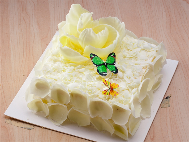 祝福老人生日快乐的祝福语(30句)