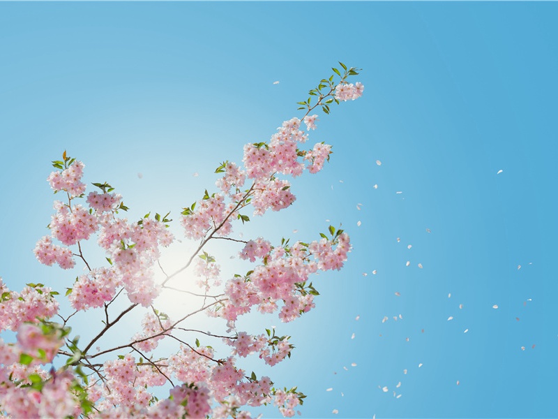 发朋友圈晚安的句子,深夜说晚安一句话(40句)