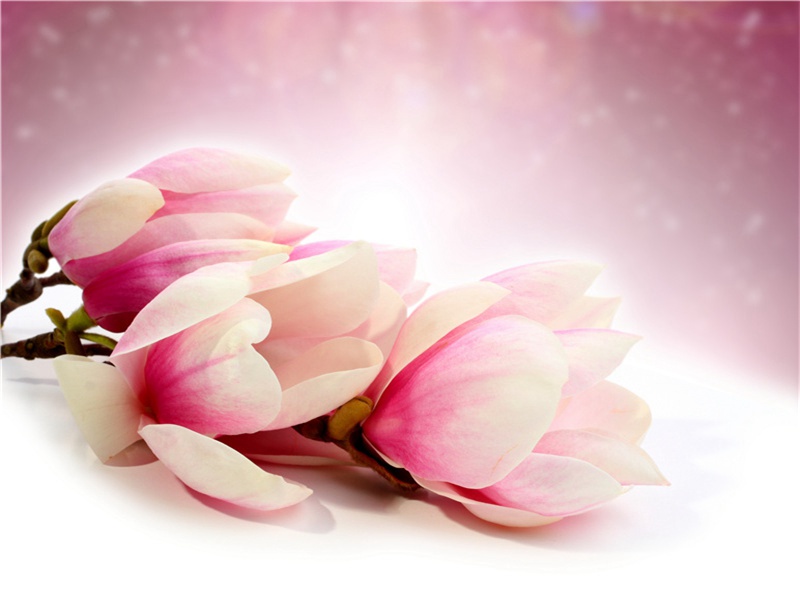 生日朋友圈怎么发幽默,含蓄幽默表达自己生日(20句)
