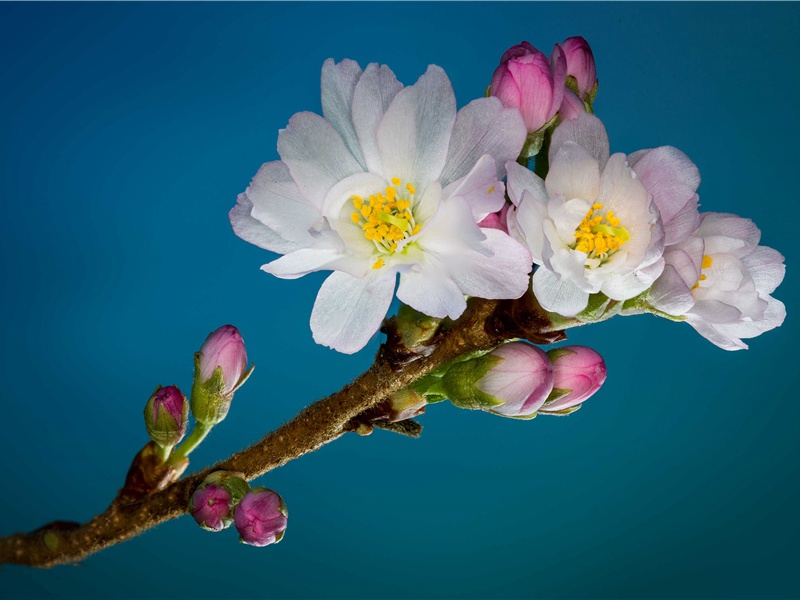 教师节发抖音感恩的句子(35句)