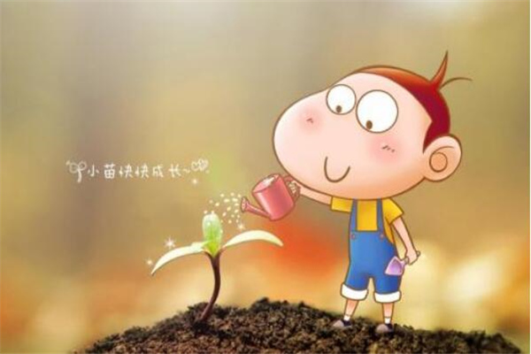 送玫瑰花留言情话送(25句)