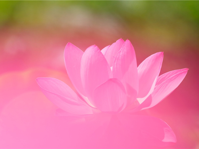 七夕幽默说说心情短语,情人节搞笑句子越短越好朋友圈文案(29句)