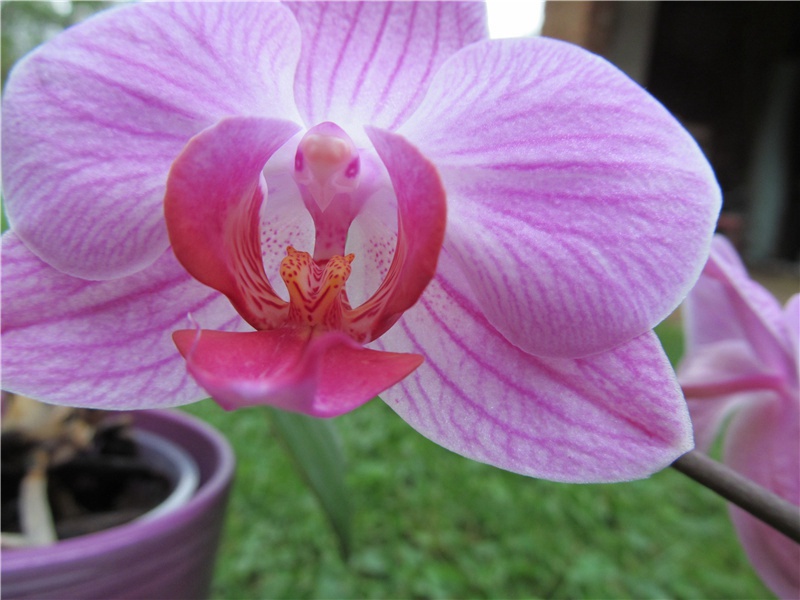 父亲节祝福语简短,父亲节文案简短(82句)