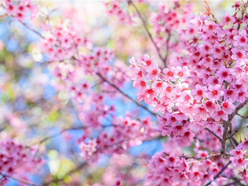 享受汗蒸的句子,汗蒸发朋友圈的句子(19句)