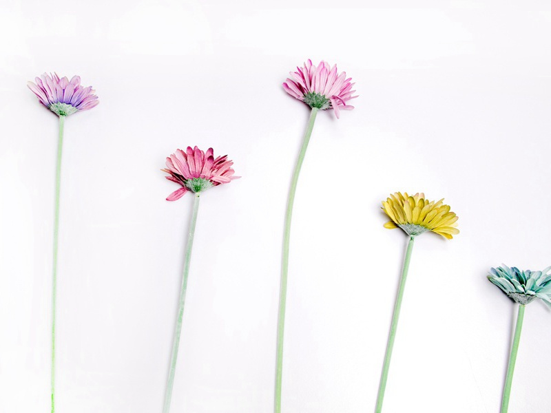中秋节怎么发朋友圈,适合中秋节发的说说(12句)