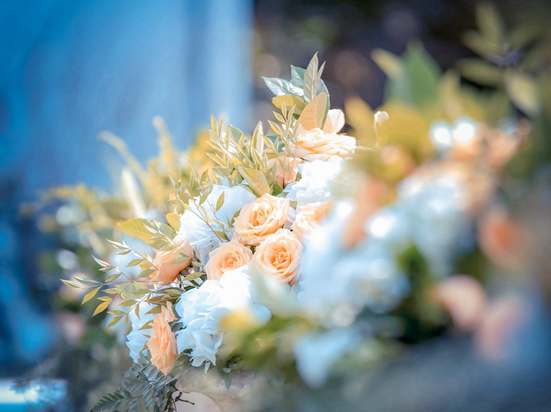 教师节送给老师的简短句子(30句)