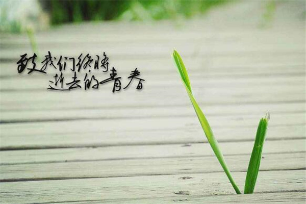 怀念曾经爱过的人的句子(30句)