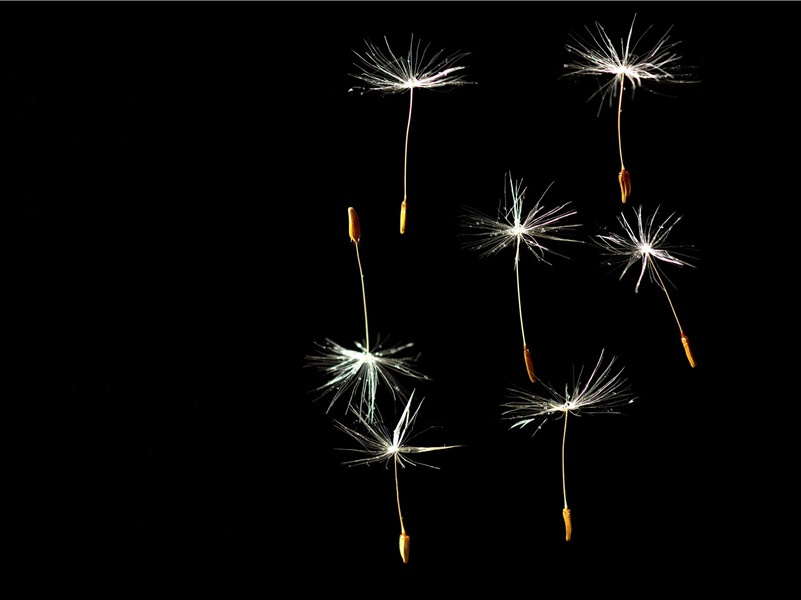 恭喜生男孩的祝福语,祝福别人生孩子的话(30句)