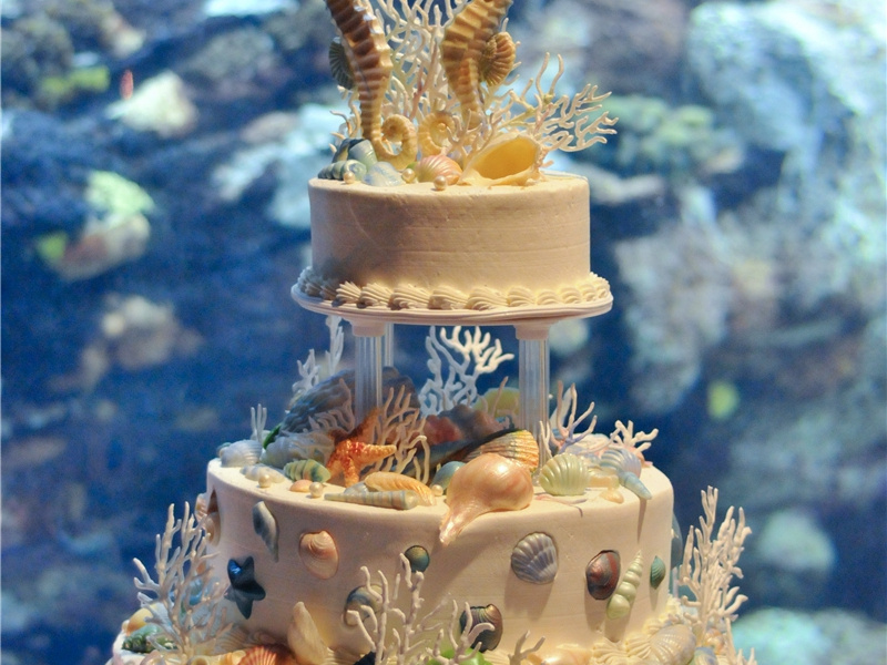 祝师父生日快乐的句子(30句)