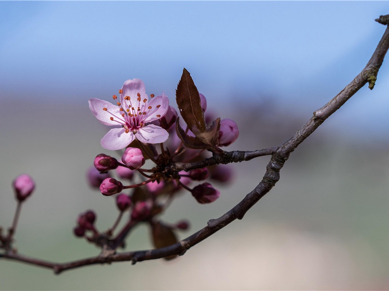 教师节送给老师的简短句子(30句)