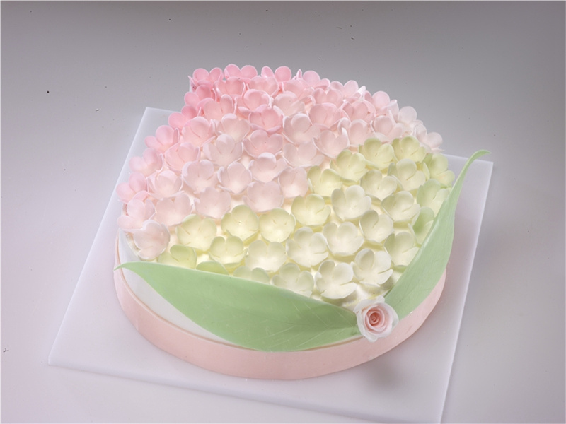 青春20岁生日的祝福语(40句)