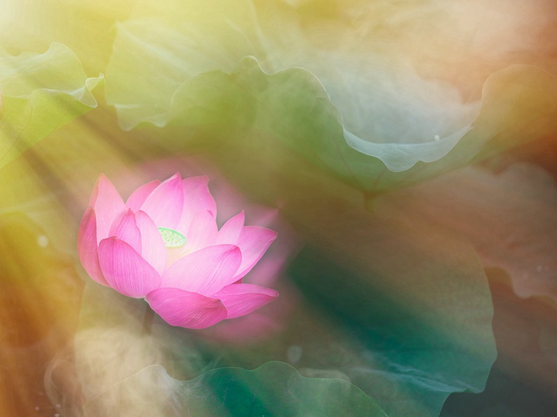 七夕情人节表白说的话,对暗恋女生的表白情话(18句)